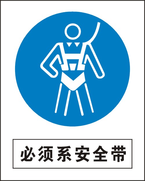 必须系安全带